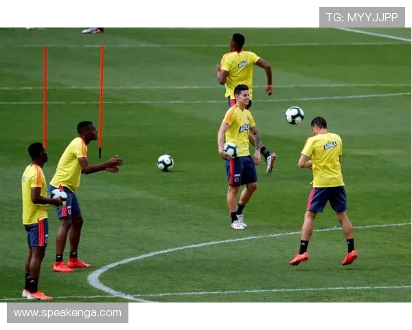 美洲杯最新动态：各队备战激烈角逐，谁能脱颖而出夺得冠军 - 副本 (4)